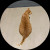Juinyee Fang profile picture